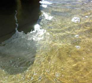 Ende September 2010 Inspirationen