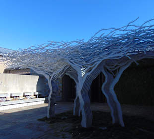 Weingut Tokara in Stellenbosch