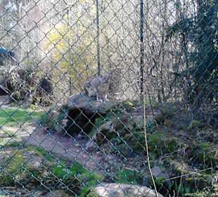 Tierpark Hellabrunn in München