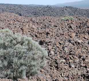 Park el teide wulkan