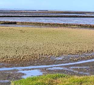 Wattenmeer