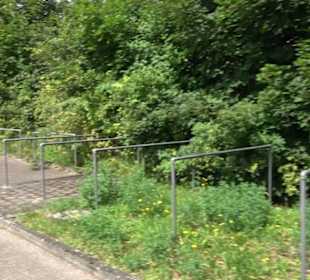 Alte Schmiede Auingen