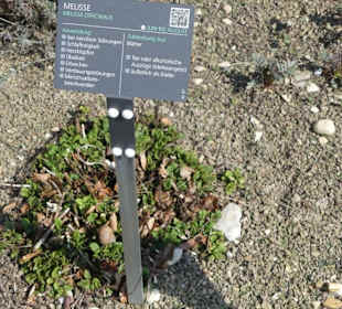 Erläuterungen der Kräuter