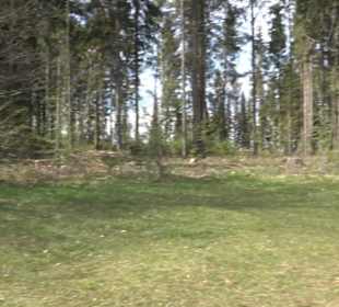 Hausberg Beutenlay