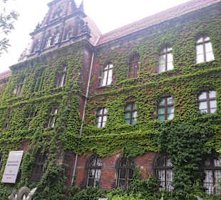 Stare Miasto Wrocław