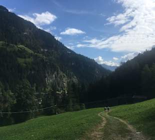 Über Wiesen