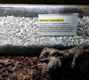 Exotarium