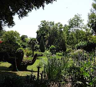 Botanischer Garten