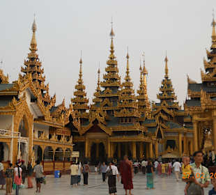 Wunderschöne Stupas auf dem Areal