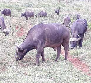 Wir stören gar nicht ...