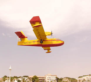 Feuerflieger Bucht von Paguera 