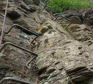 Wandern Zell (Mosel)