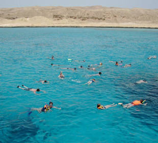 Schnorchler bei der Insel Mahmya