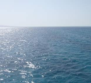 Ausblick