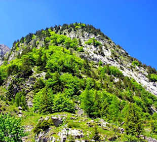 Plöckenpass 2010 die ganze Strecke