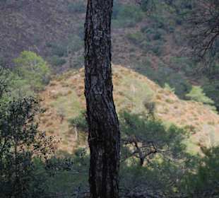 Landschaft beim Aufstieg