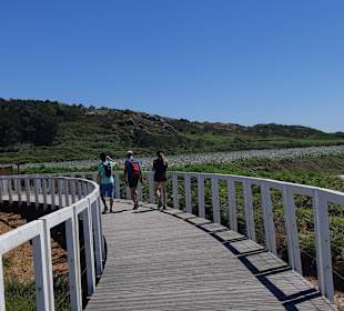 Bucht von Viana do Castelo