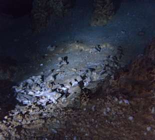Im Innern der Höhle