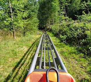 Impressionen von der Strecke der Sommerrodelbahn