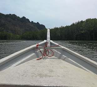 Mangroventour Peter Höfinger