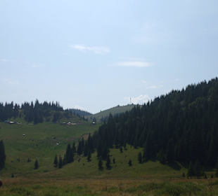 Parcul Natural Apuseni