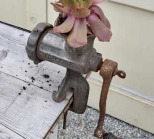 Fleischmühle mal anders