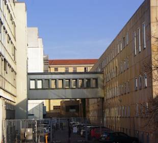 Unter den Linden hintere Bereiche