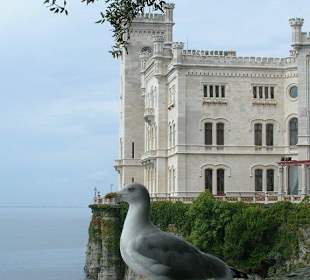 Castello con gabbiano