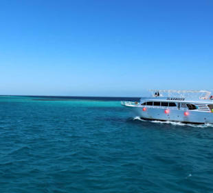 Statek w drodze na delfinki