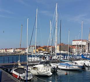 Piran hafen