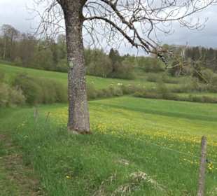 Premiumwanderweg Hochgebürzelt