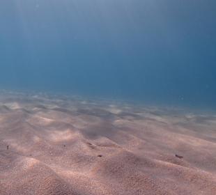 Unterwasseraufnahme vom Meer
