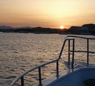 Auf der Rückreise von Mahmya