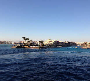 Delfintour am 23.12.2013