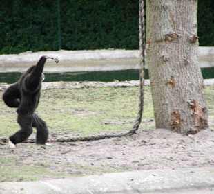 Serengeti Park Hodenhagen