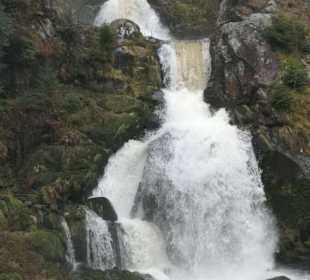 Triberger Wasserfälle