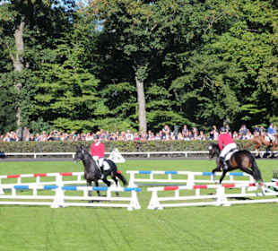 Springquadrille