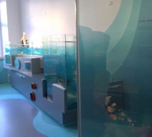 Museum für Naturkunde