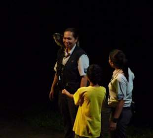 Night Safari - Tiershow