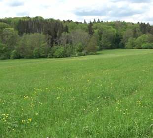 Wandertour Feuchtgebiet Schönbuch