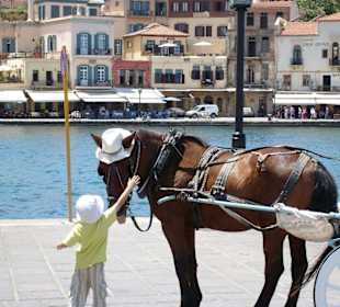 Kutschfahrt am Hafen
