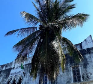 Stadtrundgang Stone Town