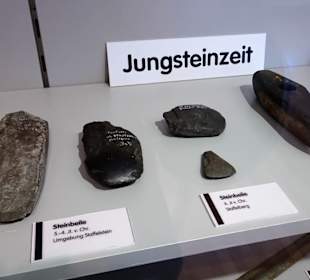 Fundstücke aus der Region im Heimatmuseum