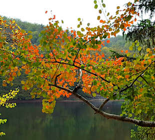 Wandern Bad Lauterberg