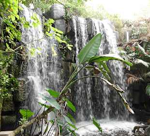 Wasserfall im Aquarium