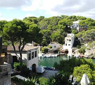 View from the uphill