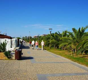 Ende Nov. 2012 Am Strand entlang