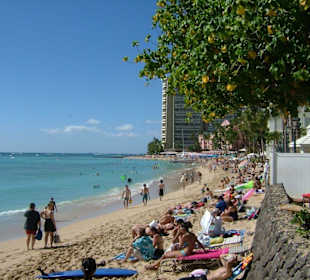 Waikiki Beach