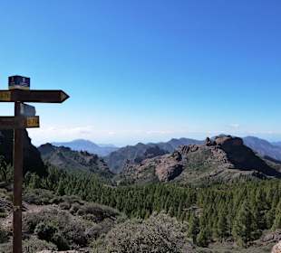 Am nächsten Wander-Wegegkreuz
