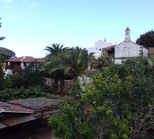 Parque del Drago in Icod de los Vinos